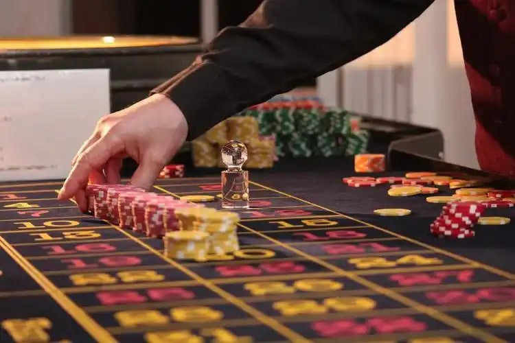 bingo 4d user Mobile user and Brand